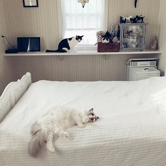 yuchiさんの実例写真