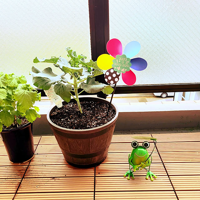 3008さんの実例写真