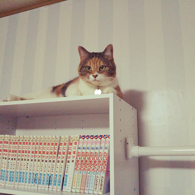 yukieさんの実例写真