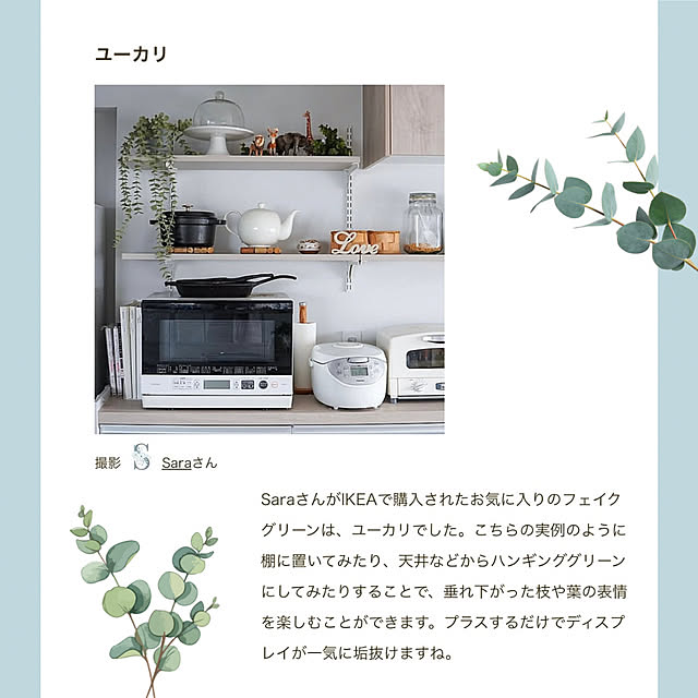 Saraさんの実例写真