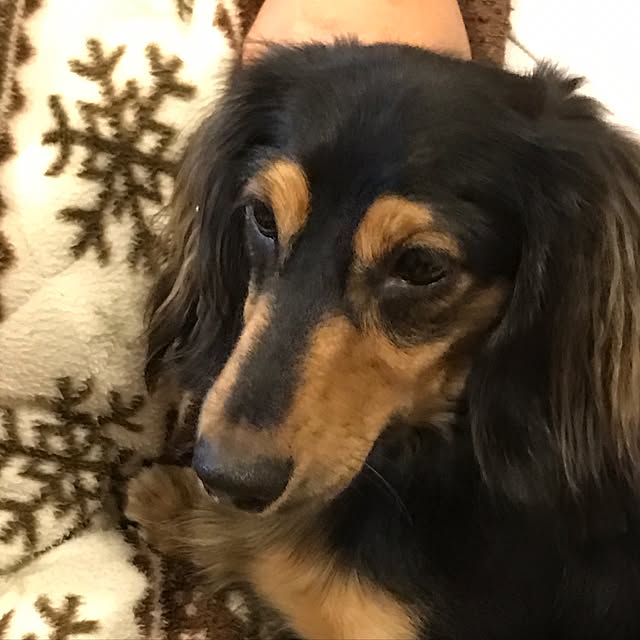 Michicoさんの実例写真