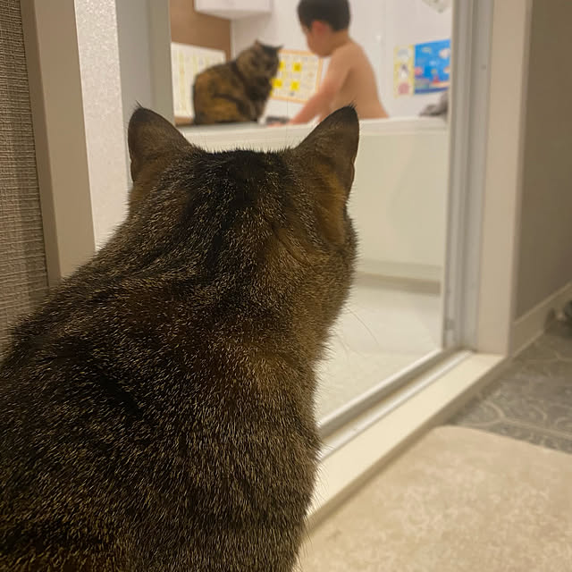 mikomaruさんの実例写真