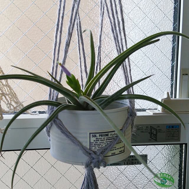 Smileberryさんの実例写真