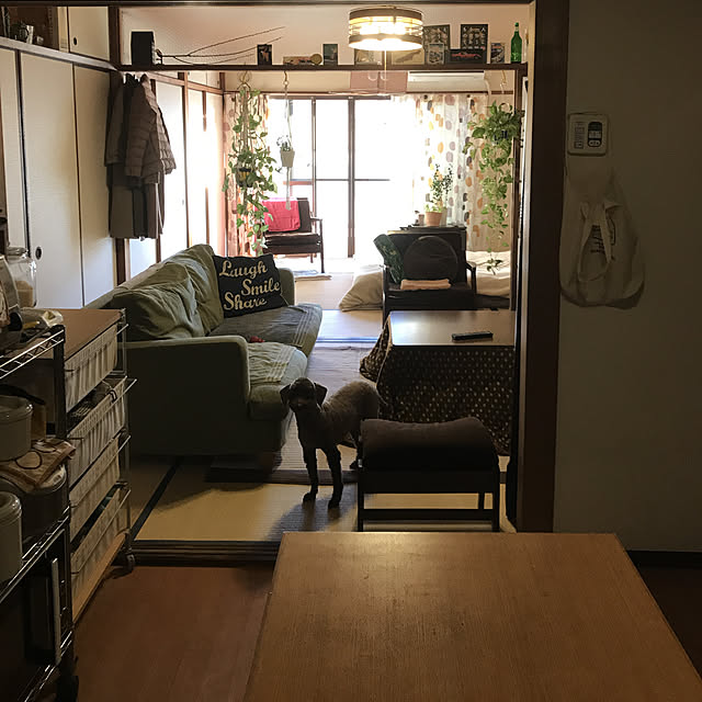 tamaさんの実例写真