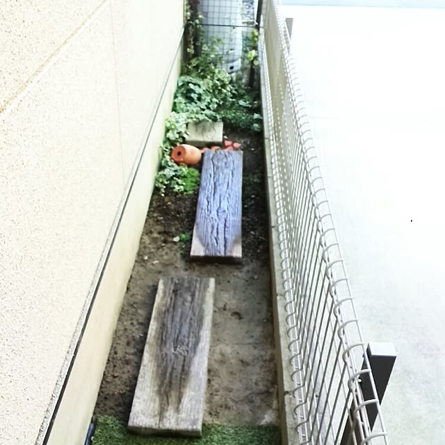 mintさんの実例写真