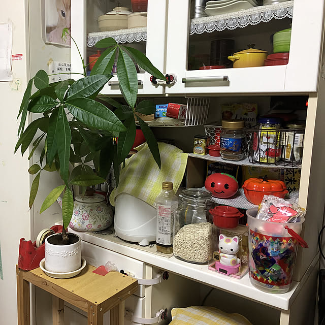123さんの実例写真