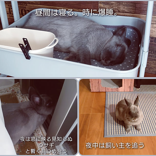 kirariさんの実例写真