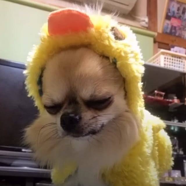 Tackunさんの部屋