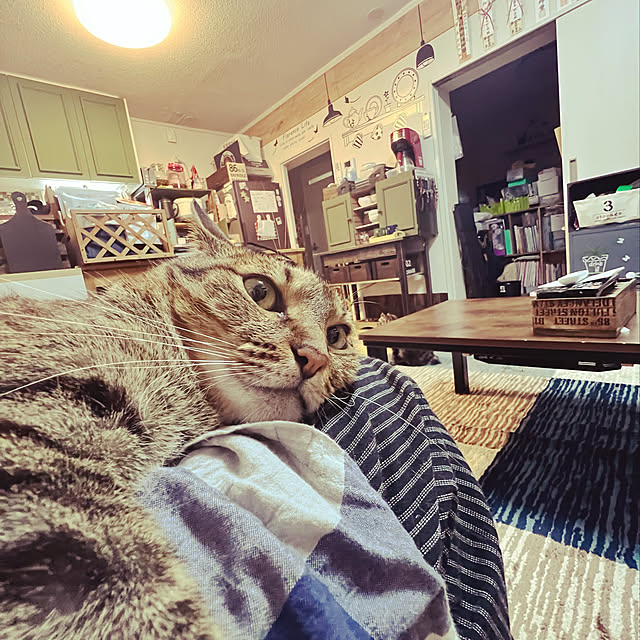 sumoanzuさんの実例写真