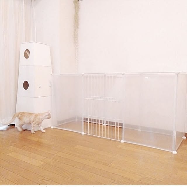 heart.emiemi57.whiteさんの部屋