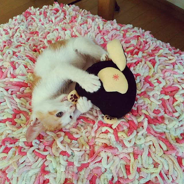 mcomcoさんの実例写真