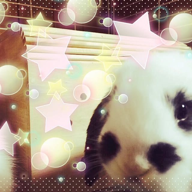 Yorikoさんの実例写真