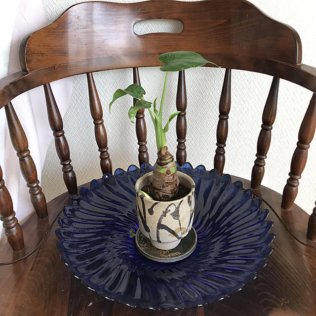 fuyiqian1026さんの実例写真