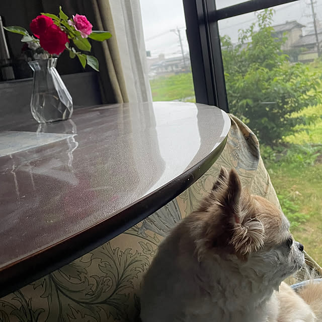 natsumiさんの部屋
