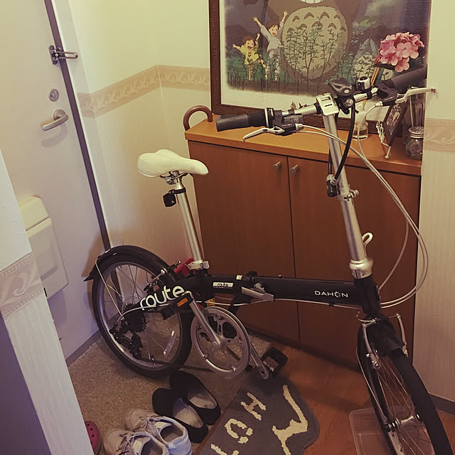 apolloさんの実例写真