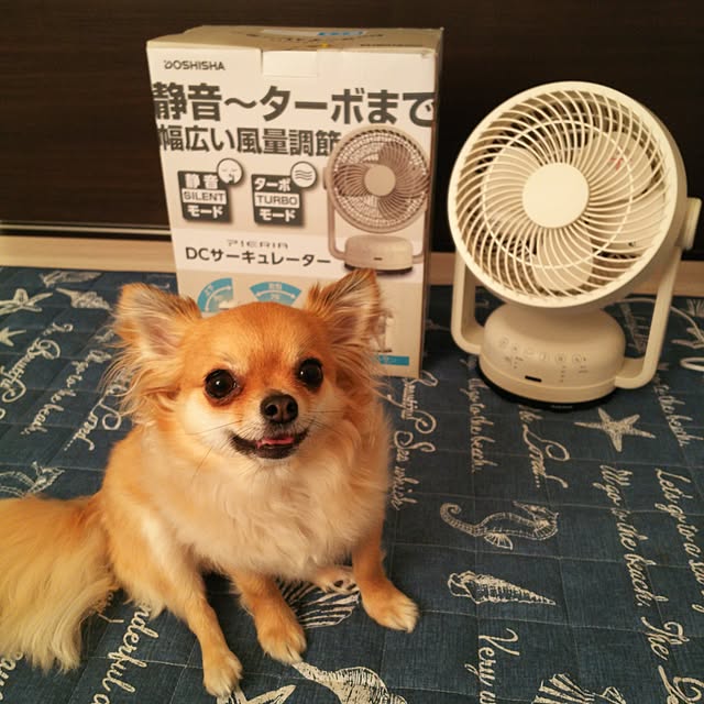 kojikojiさんの実例写真