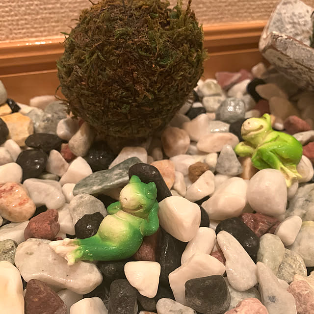 mizukawaumiさんの実例写真