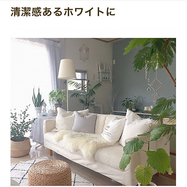 Rさんの実例写真
