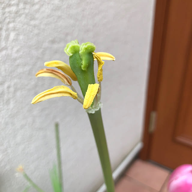 fumikoiさんの部屋