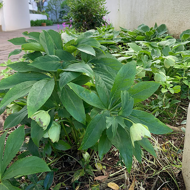 Aqettyさんの部屋