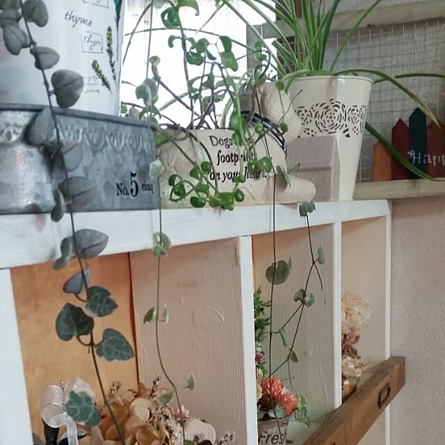 hitomiさんの実例写真