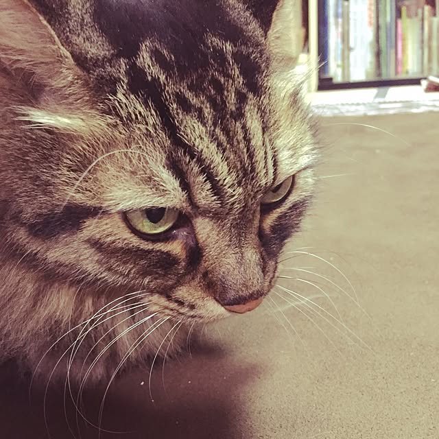 amaさんの実例写真