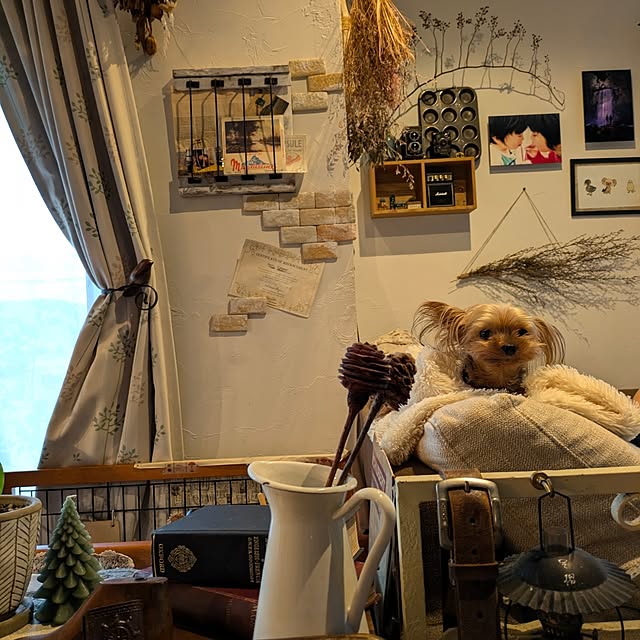 akiさんの部屋