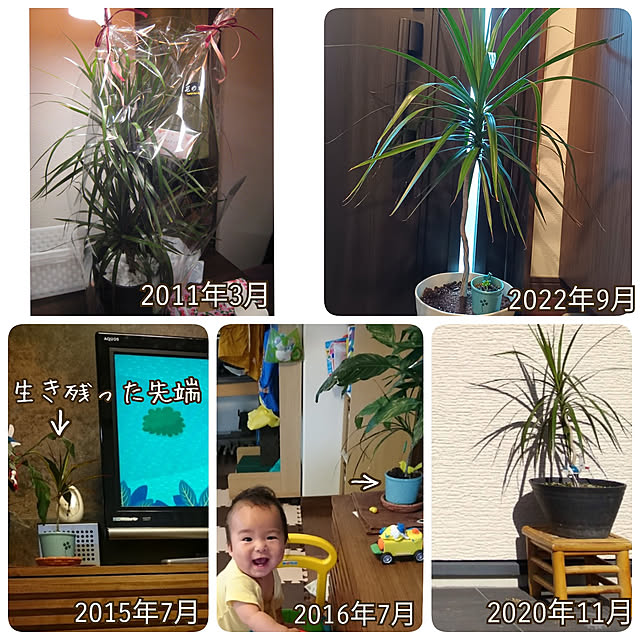 tomo5さんの実例写真