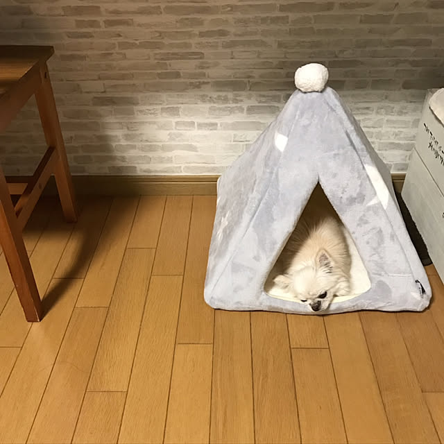 jujuさんの実例写真