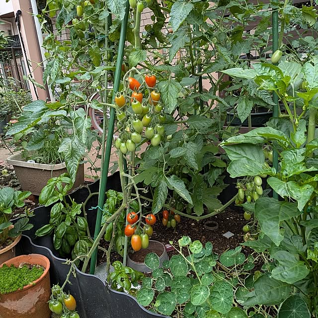 botanさんの部屋