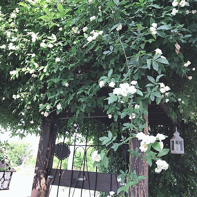 miyuukiさんの実例写真