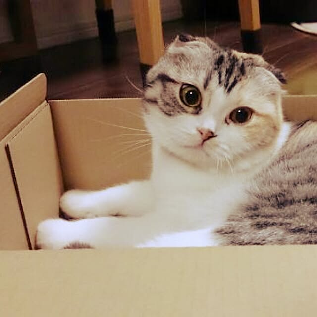 Sachiさんの実例写真