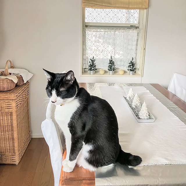 hiyo.pietさんの実例写真