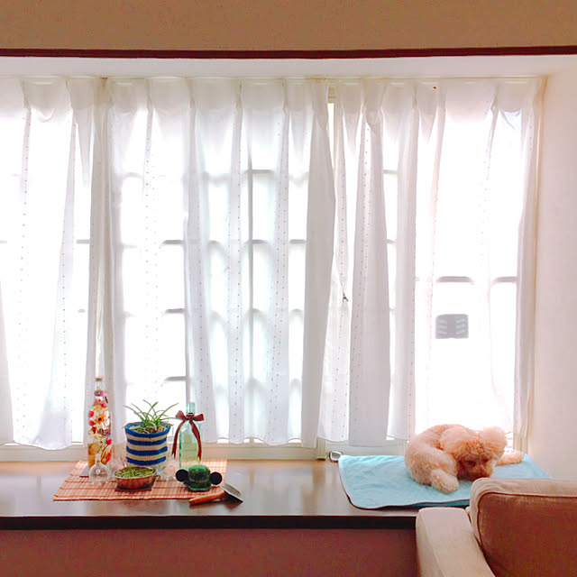 jun15さんの実例写真