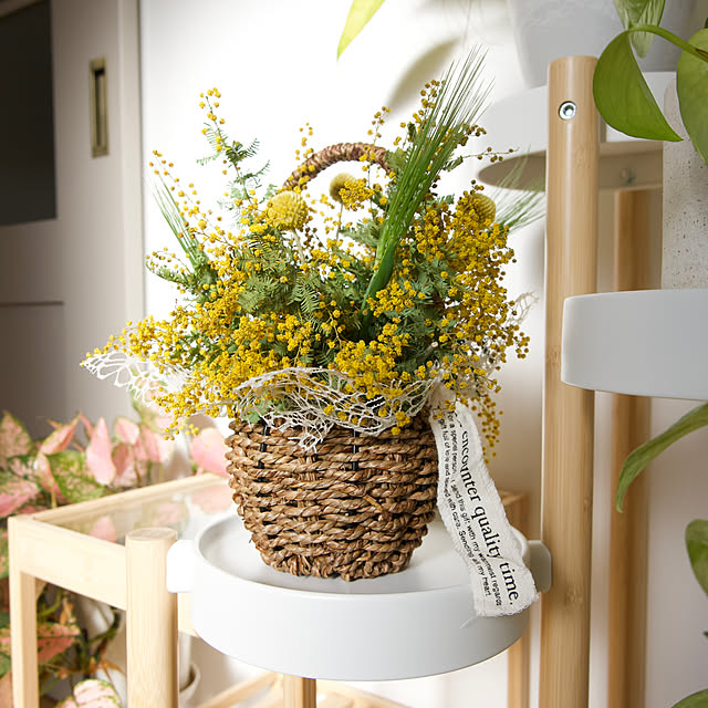 y.tora5さんの実例写真