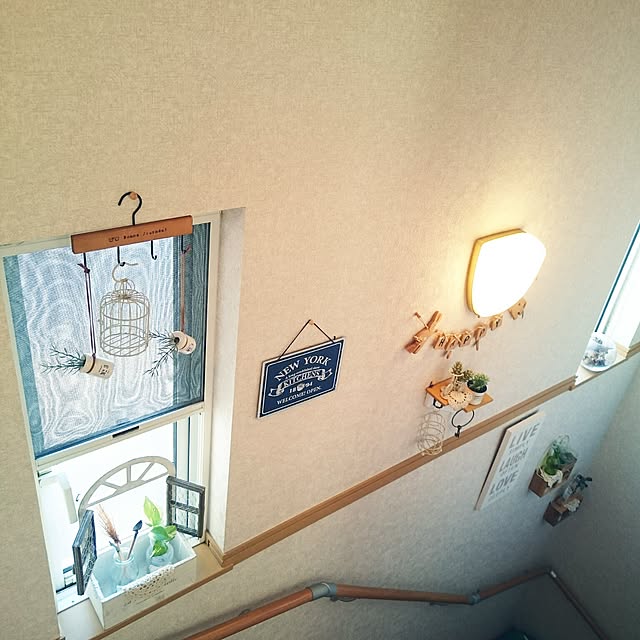 misaさんの実例写真