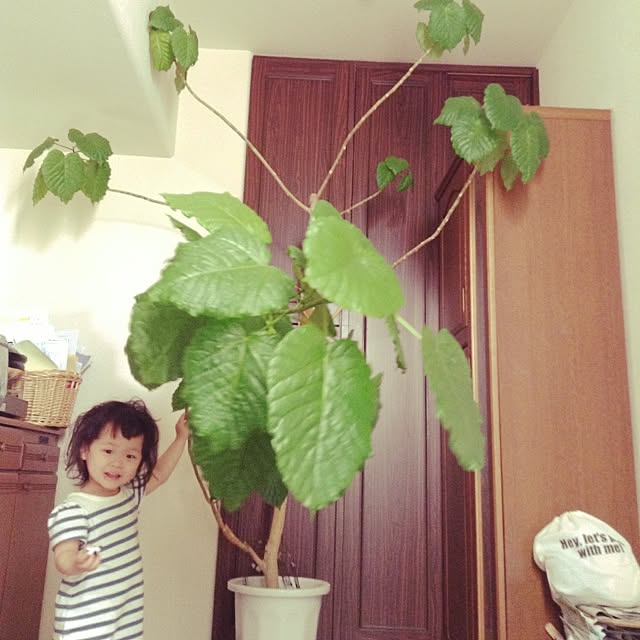 studio-fleurさんの実例写真