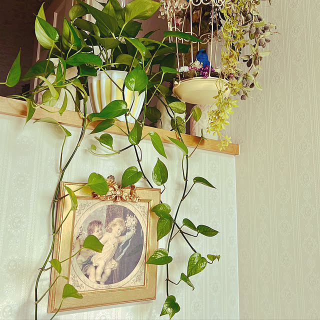 AYUKOさんの実例写真