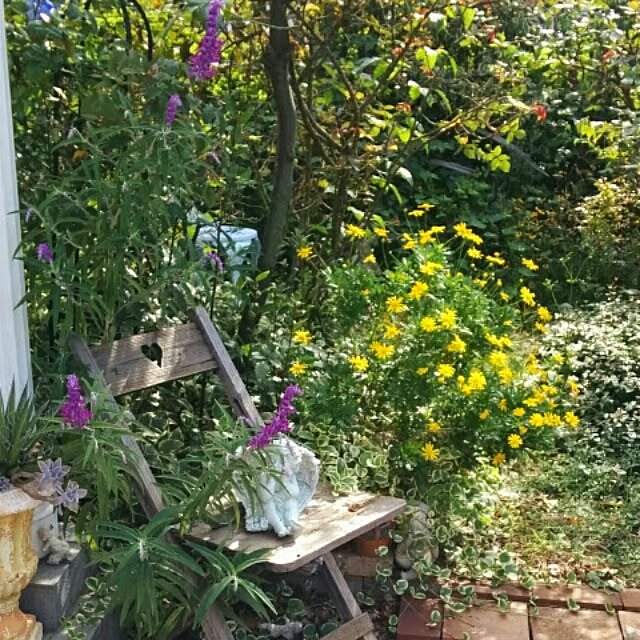 rosemaryさんの実例写真