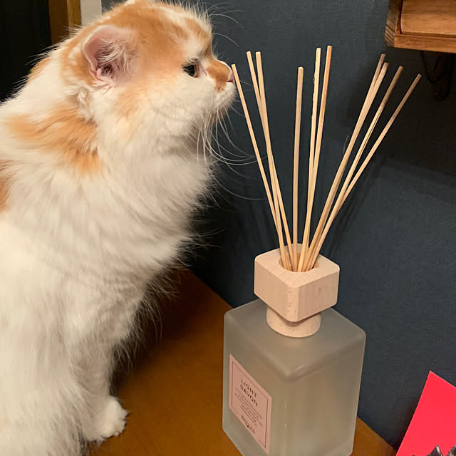 keiさんの実例写真