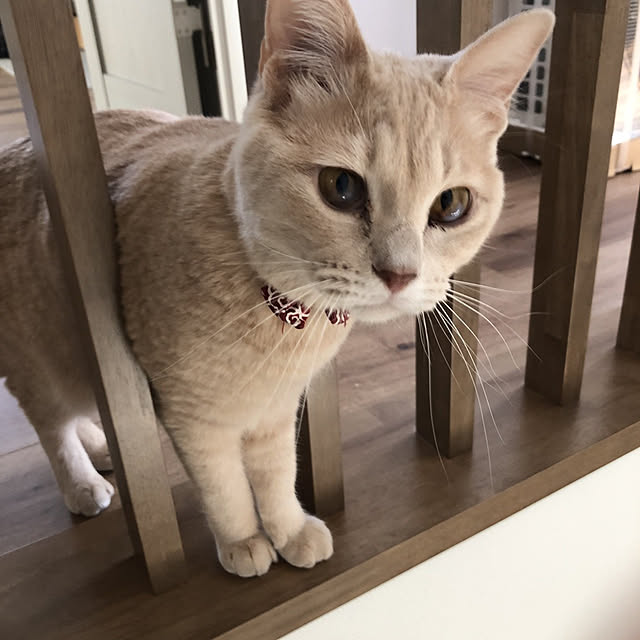 M3さんの実例写真