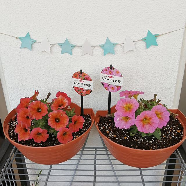 VERANDARJUNさんの実例写真