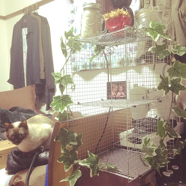 suu...さんの実例写真