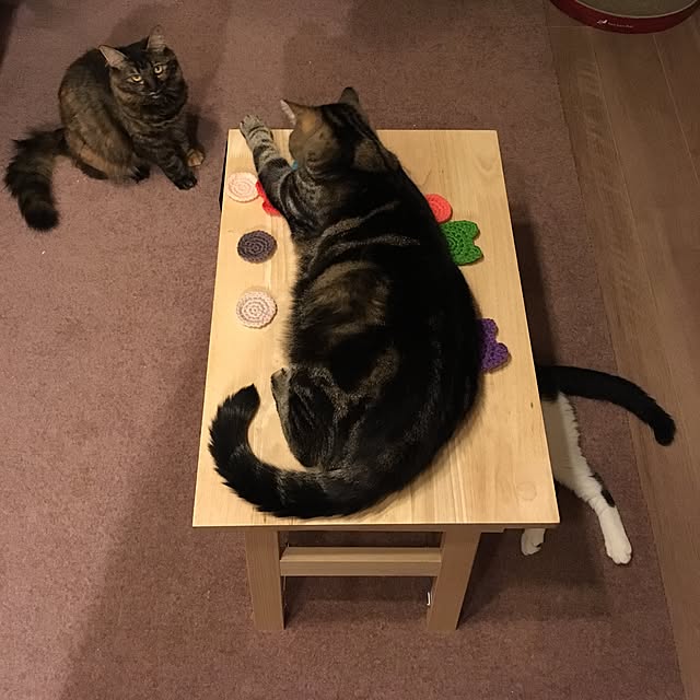 mikomaruさんの実例写真