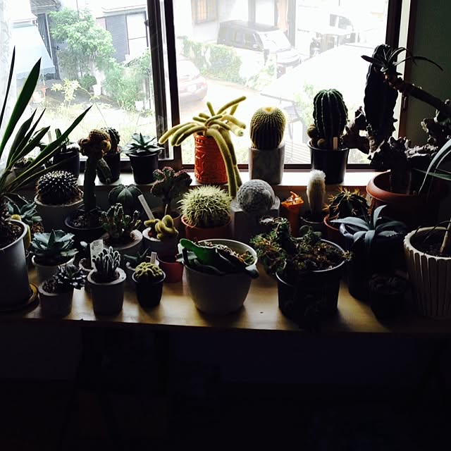 steve-steigmanさんの実例写真