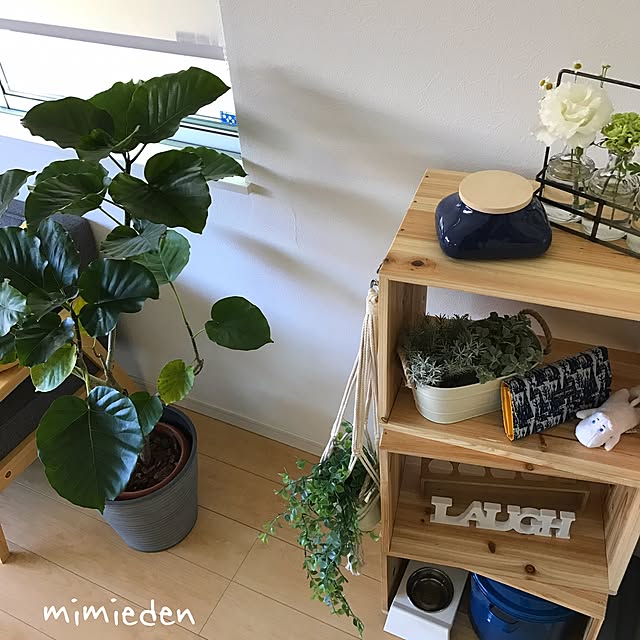 mimiedenさんの実例写真