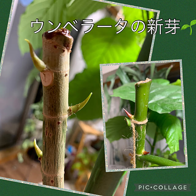 Aqettyさんの部屋