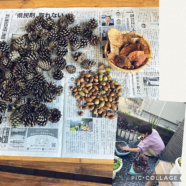CoCo0617さんの実例写真