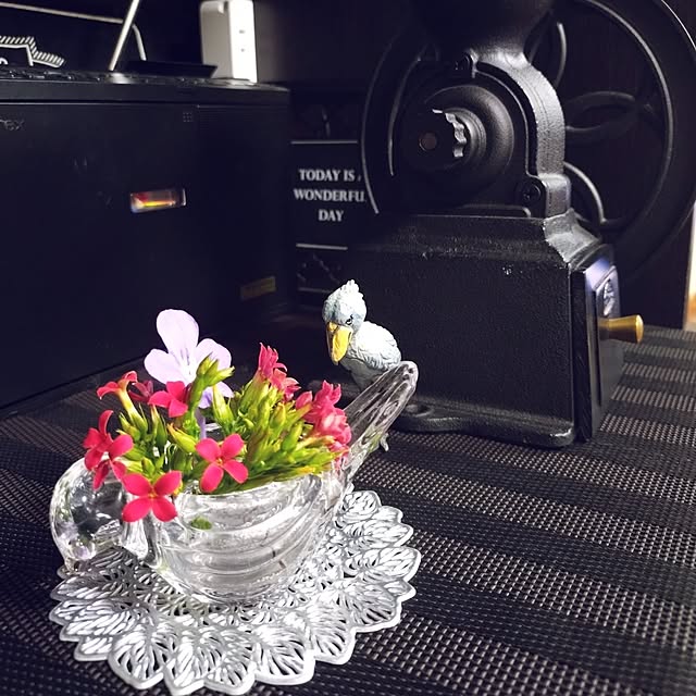 NOAHさんの実例写真