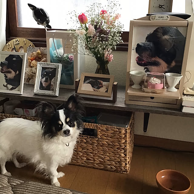 sakuさんの実例写真